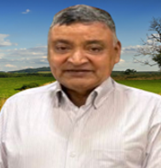 Mr. K.M. Agarwal